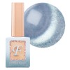 From the Nail MAGNET color gel nail, FG205, 10g, 1 piece / 프롬더네일 MAGNET 컬러 젤네일, FG205, 10g, 1개