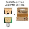 Best Bee Brothers Bee-Licious Bee Bait, All-Natural Carpenter Bee Lure,