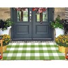 Green and White Front Porch Rug 2'X4.3'Buffalo Plaid Checked Outdoor