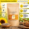 250 g Sunflower Lecithin | Pure Lecithin | High Bioavailability