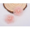 Bianhuan Baby Hair Clips, Set of 10