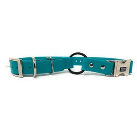 Sparky Pet Co - Zeus ECollar Replacement Strap - Bungee Loop Dog Collar - Waterproof Biothane - Adjustable - Double Buckle - Quick Snap Metal Clasp - for Invisible Fence Systems 1"x 30" (Teal)