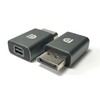 Access Mini DisplayPort to DisplayPort Converter Aluminum Adapter (Mini DP
