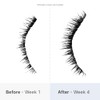Better Not Younger Superpower Lash Serum for Unisex 0.24 oz