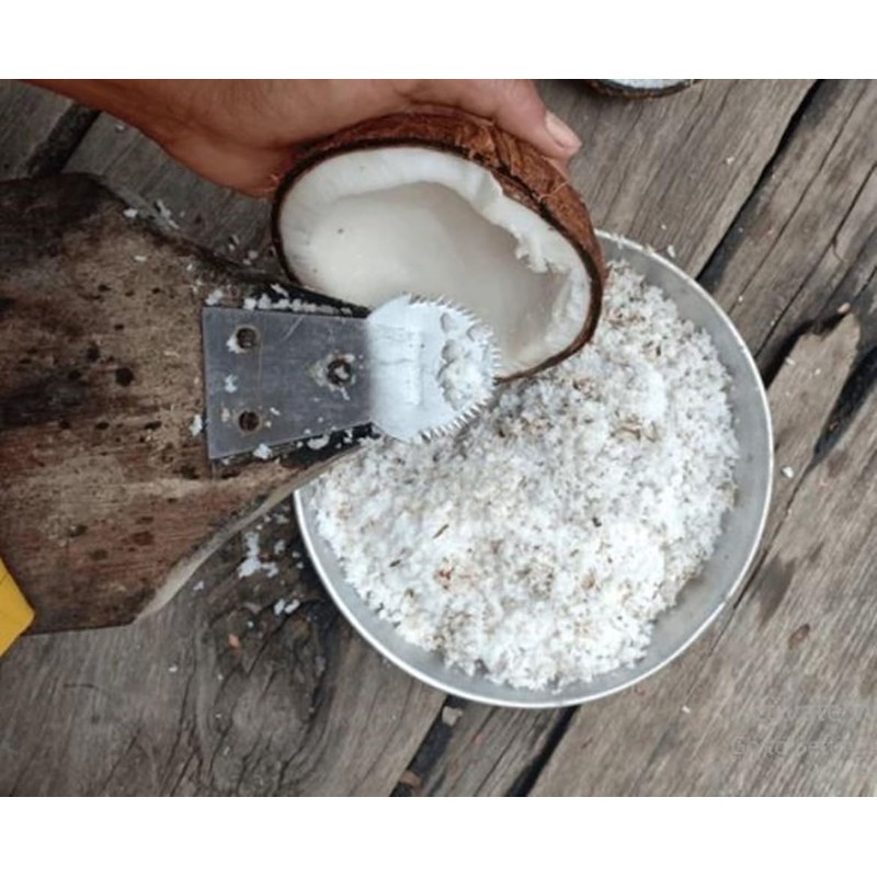 Dolphin Shop, Coconut Scraper Grater Stainless Steel Shredder Serrated Grinder