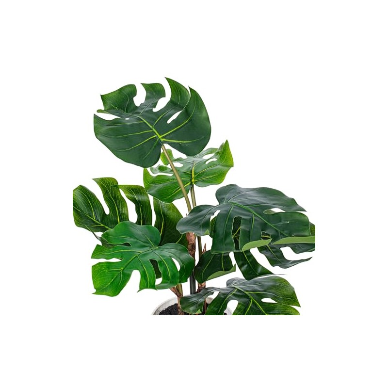 Vickerman 18" Green Monstera Plant x7 in White Pot.
