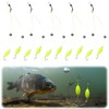 Aerbee Double-Hook Reverse Bottom Rig, Anti Tangle Fishing Hooks, Swimming