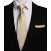 HISDERN Champagne Ties for Men Classic Silk Tie and Pocket