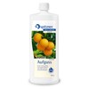 spitzner Sauna Infusion Orange 1 Litre 8850025