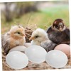 VICASKY 10pcs Large Realistic Fake Bird Eggs Simulation Solid Bird