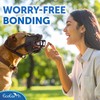 EcoEarth - Dog Muzzle - for Extra Large Sized Dogs