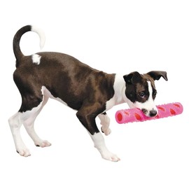 MPP 12"" Unique Spiky Durable Multi Textured Dog Toy Crinkle Stuff Sticks Fun Colors (Full Set - All 3 Colors)