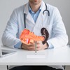 Simedutech Pancreas Spleen Anatomy Model, Normal