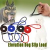 AIMALL Dog Training Correction Leash Lead Cesar Puppy Pets Millan