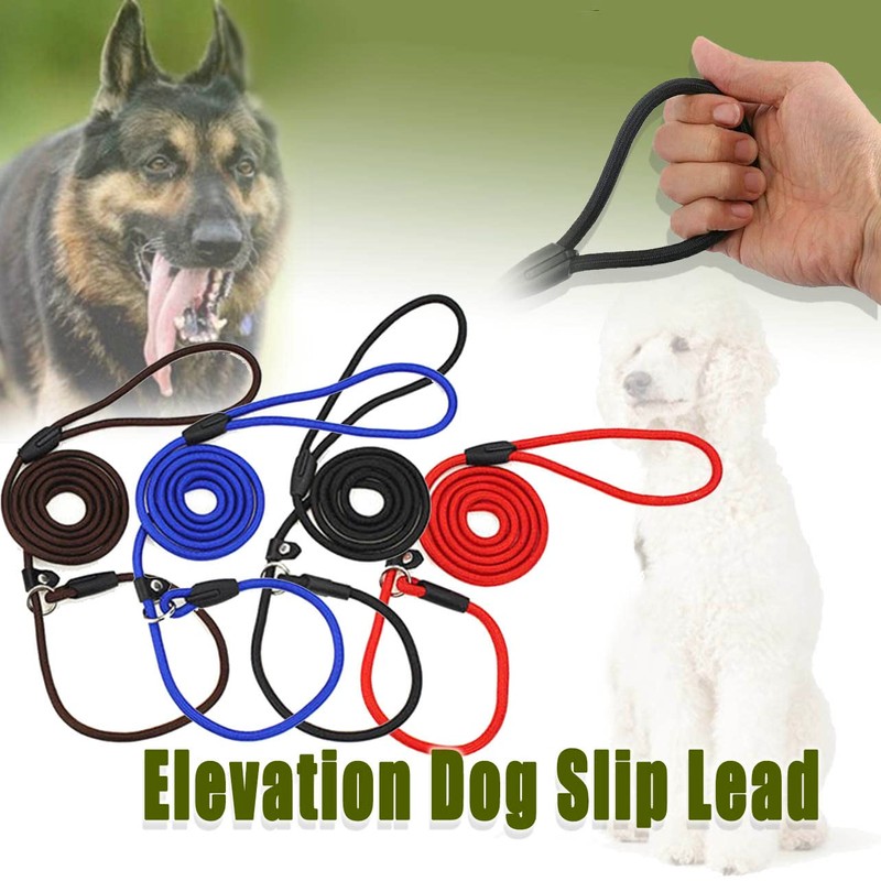 AIMALL Dog Training Correction Leash Lead Cesar Puppy Pets Millan