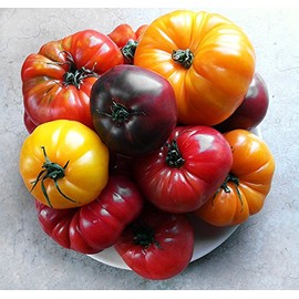 This is A Mix 30 Rainbow Deluxe Tomato Seeds Mix 16 Varieties, Heirloom Non-GMO, Indeterminate, Old German, Chocolate Stripes, Ukrainian Purple, Amish Paste USA Grown Solanum lycoperscium