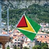 2×3 FT Guyana Flag,Medium 60×90 CM Guyanese Outdoor Banner,100D Decor,Doube