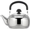 Wahei Freiz SR-97 Round Teapot with Handle, Stainless Steel, Sensha