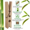 Bamboo Clothes Pegs - Pack of 100 - Sustainable Wooden