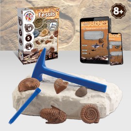 Science4you Fossil Dig Kit - Fossils and Paleontology with This Excavation Kit, Discover the Incredible Fossils, A Paleontology Gift for Girls and Boys 6 7 8 9+