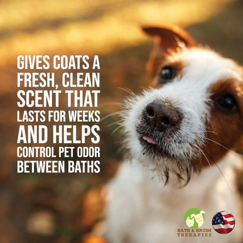 Showseason Animal Products Bath & Brush Therapies® Cherry Berry Pet