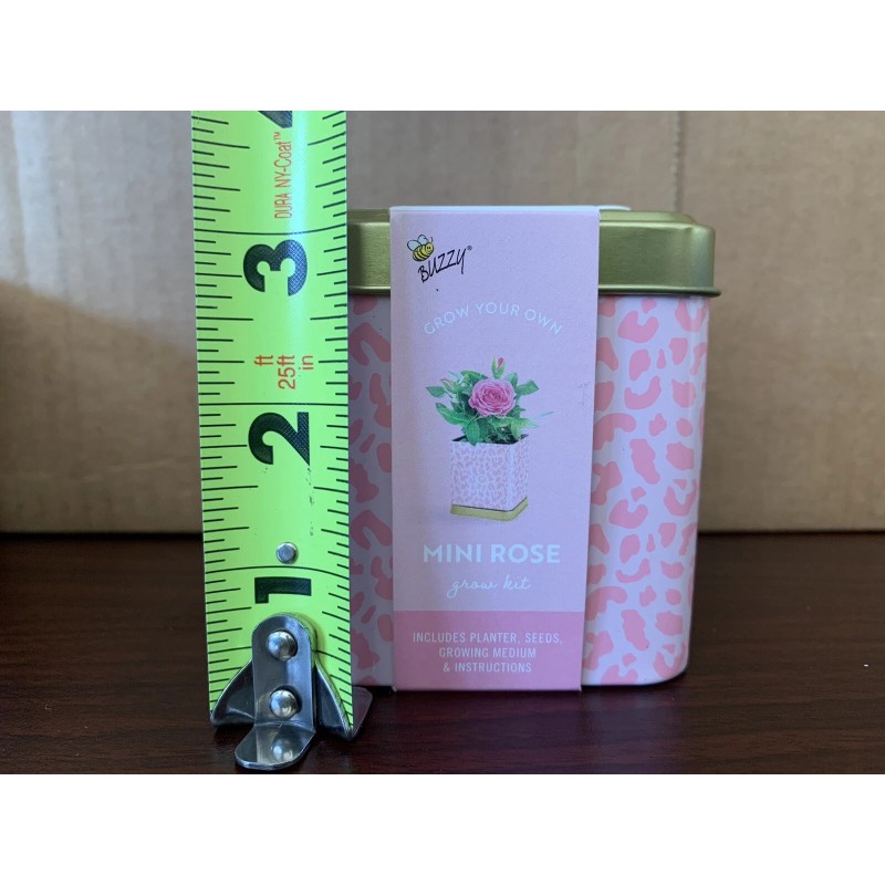 Buzzy Grow Your Own Grow Kit Mini Rose, Basil, &