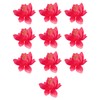10 Pieces Blooming Lotus Embroidered Applique Orchid Flower Iron on