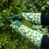 Phalanx Best Gardening Gloves for Women Rose Pruning Thorn Proof