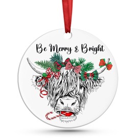 Regalo divertido para dichos regalos alegres y brillantes 2024, círculo de adornos para árbol de Navidad