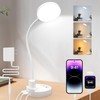15W LED Desk Lamp with USB Charging Ports – Dimmable