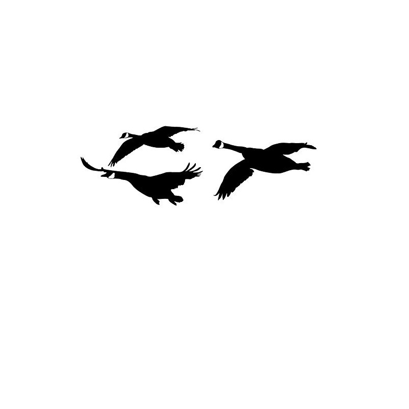 Waterfowl Decals Goose Honkers Flyin – Geese Flying in Decal-