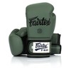 Fairtex Microfibre Boxing Gloves Muay Thai Boxing - BGV14, BGV1