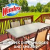 Windex Outdoor Refill Pads 2 Count (2 Count (Pack of