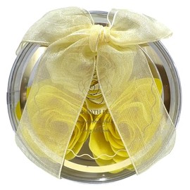 Bloomn Rose Bath Petals Shiny Rose