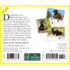 Dachshunds 2023 Box Calendar