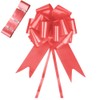 Time to Sparkle 3 Bows + 7M Ribbon Wedding Car