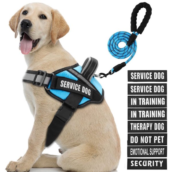 Service Dog Vest Harness and Leash Set, Animire in Training