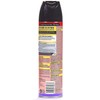 Raid Ant & Roach Killer Lavender 17.5 Ounce (Pack of