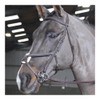 JW RTR MEXICAN BRIDLE