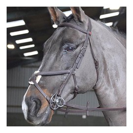 JW RTR MEXICAN BRIDLE