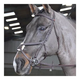 JW RTR MEXICAN BRIDLE