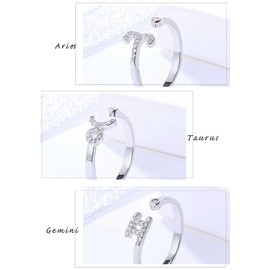 Accessory Shop Piena Cubic Zirconia, 925 Silver, 12 Constellations, 12 Types to Choose from, One Size Fits Most, Women's Ring