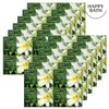 Happy Bath Duboret Soap 48 packs, 03 Duboret Rose 4