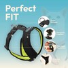 Gooby Comfort X Harness Dual Snap Mesh in Dog Harness