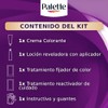 Palette Tinte para cabello color creme, negro 1-0
