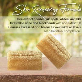 STORELUXY 2-Pack 260gr Rice Extract Soap Bar With Pumpkin Fiber Natural Handmade Loofah | Oil Balance, Dark Spots, Blackheads and Acne, Vitamins B and E, Anti-Aging, Reduces Sunspots and Freckles
