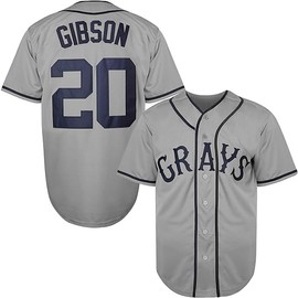 AVLSJEN Mens #20 Josh Gibson Baseball Jersey Homestead Grays Baseball Shirt Stitched S-3XL (US, Alpha, X-Large, Regular, Regular, Grey)