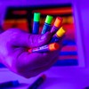 Mont Marte Fluoro Oil Pastels Signature 12pc, 12 Assorted Colours,