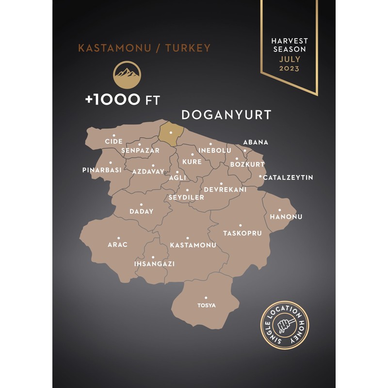 Garisar Premium Single Location Chestnut Honey | Pure Natural Honey