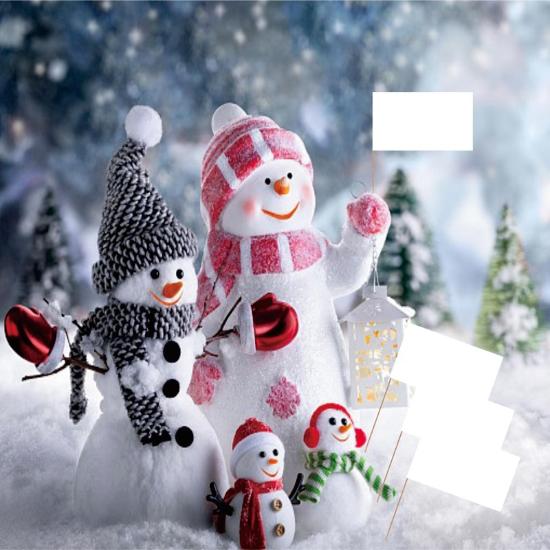 Blank Toothpick Flag Small Mini Labeling Marking DIY Stick Flags